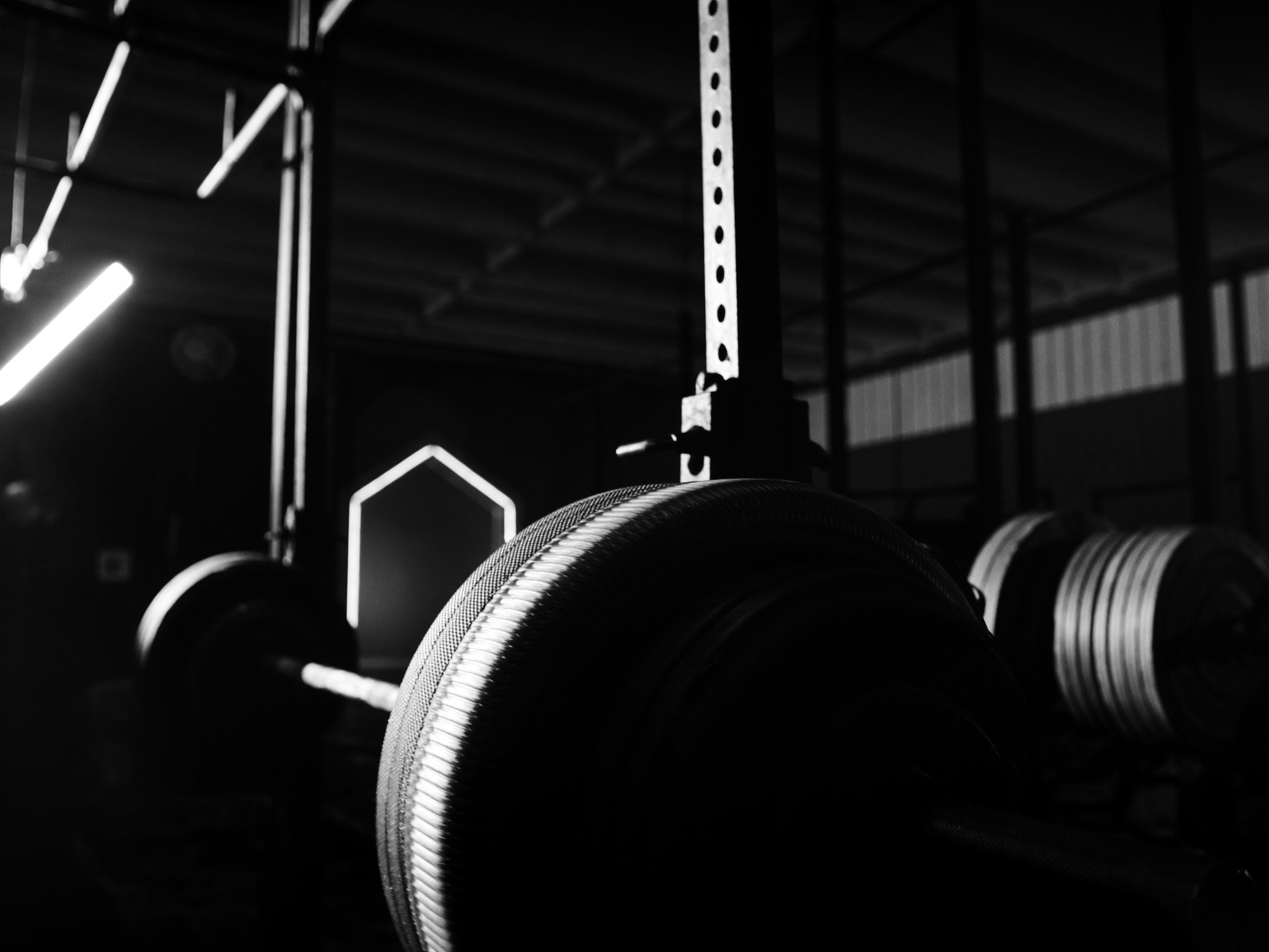 Barbell loaded
